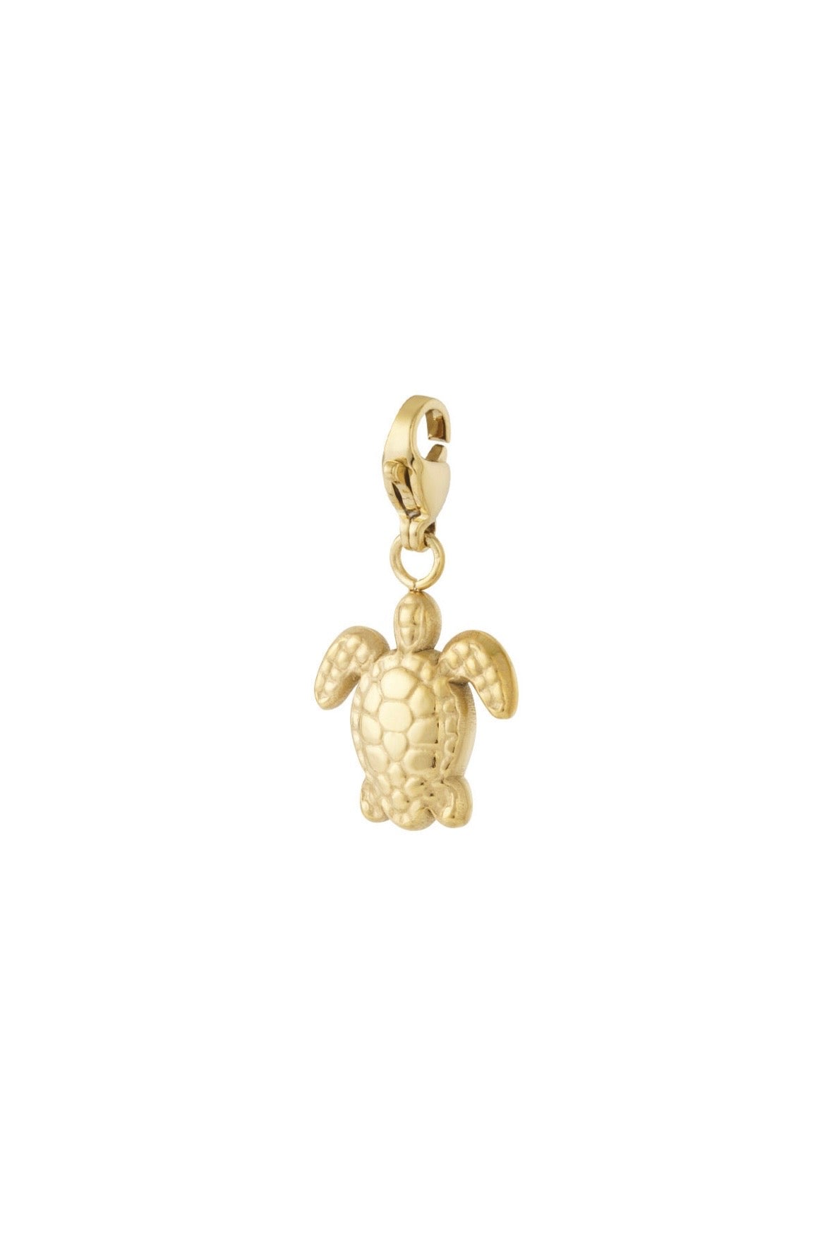 Bedel | Schildpad