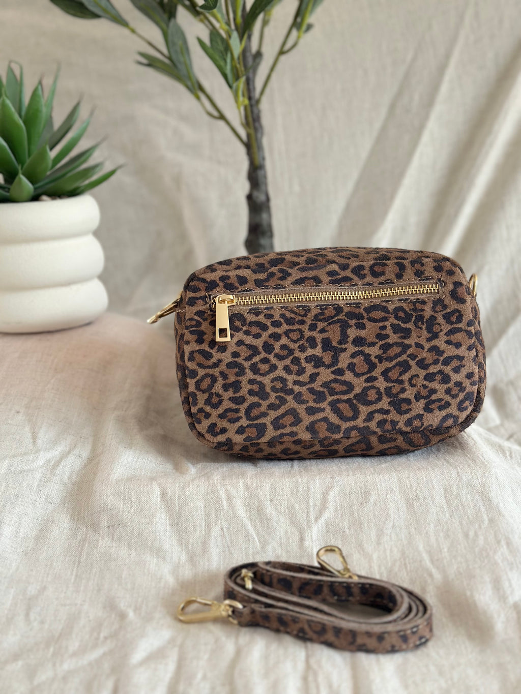 Chloe | Panter